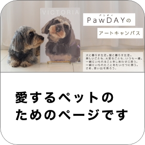 長崎コーロフィルム 愛するペット